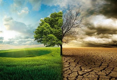 Medio ambiente y política: seres verdes y humanos ...