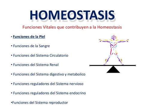 Medio interno y homeostasis
