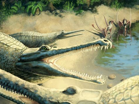Meet Mystriosaurus laurillardi, Marine Crocodile from ...