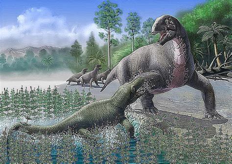 Meet the Mammal Like Reptiles of the Paleozoic Era ...