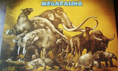 Megafauna Parte 5 El Uintatherium   Ciencia y Educación   Taringa!