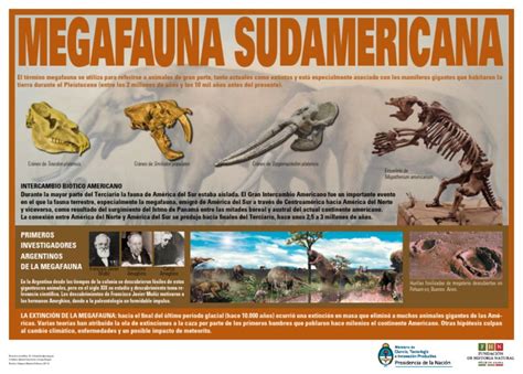 megafauna sudamericana | Megafauna | Organismos