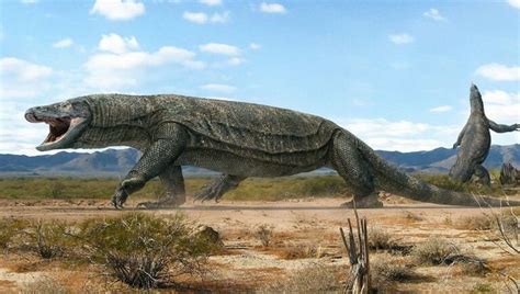 Megalania | Animales de la prehistoria, Animales gigantes, Animales ...