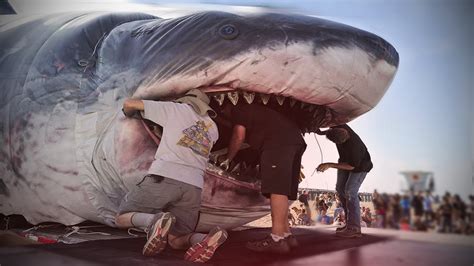 Megalodon Shark Caught on Tape   Giant Dead Shark ...