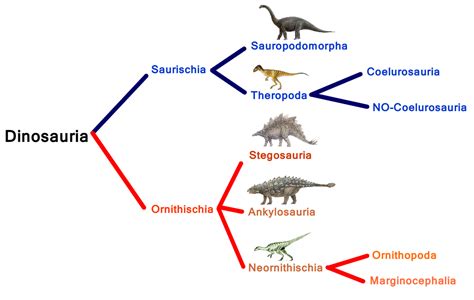 Megapost: ¿Los dinosaurios tenían plumas?   Ciencia y ...