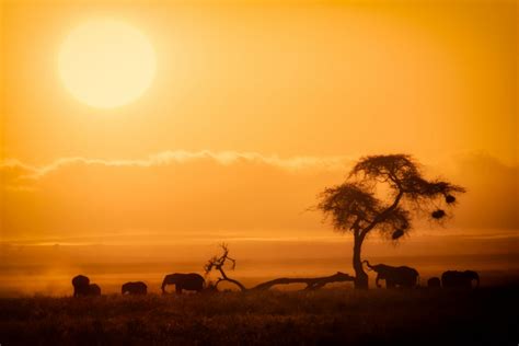 Mejor época para viajar a Kenia  Clima, Tiempo: Tabla y ...