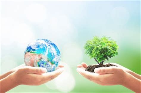 Mejorar el planeta con 8 proyectos  RSE Medio Ambiente ...