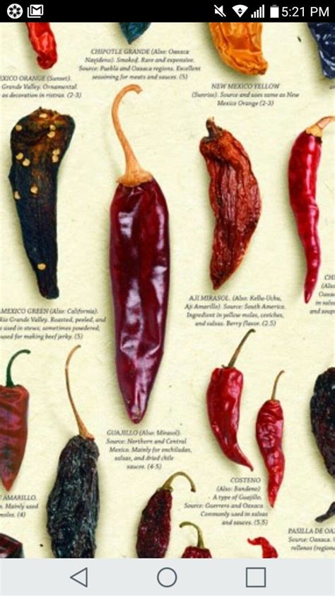 Mejores 14 imágenes de mexican peppers....chiles mexicanos y sus tipos ...