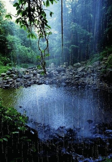 Mejores 42 imágenes de LLUVIA en Pinterest | Lluvia, Días de lluvia y ...