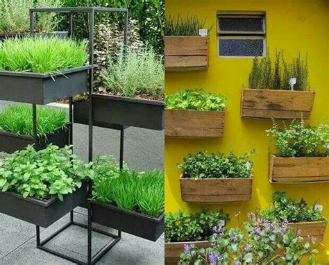 Mejores 85 imágenes de plantas,viveros en Pinterest | Vivero ...