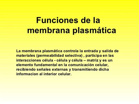 Membrana plasmática  estructura y funciones