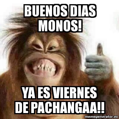 Meme Personalizado   buenos dias monos! ya es viernes de pachangaa ...