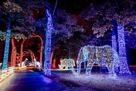 Memphis Zoo Christmas Lights 2020 – Halloween Event