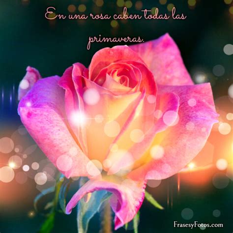 Mensajes bonitos de vida +4 imágenes de Flores hermosas  ROSAS , jardín ...