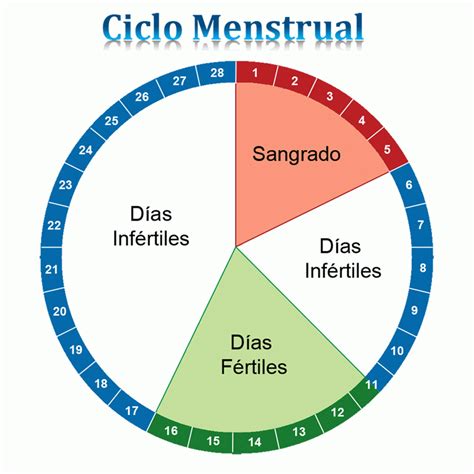 Menstruación | Saludisima Sexualidad |  290 Opiniones