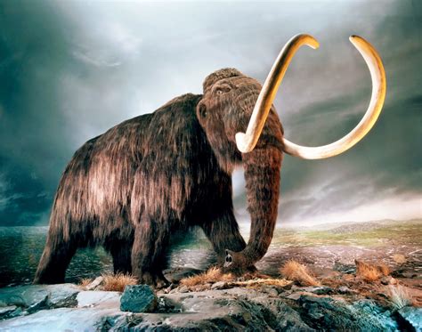 Meridianos: Misión resucitar al mamut lanudo