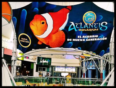 Merime...vivir es una aventura.: ATLANTIS aquarium MADRID.