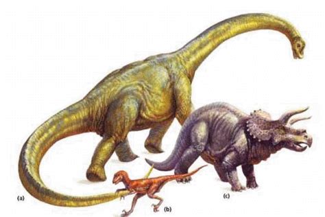 Mesozoic Era Dinosaurs | Dinosaurs Pictures and Facts