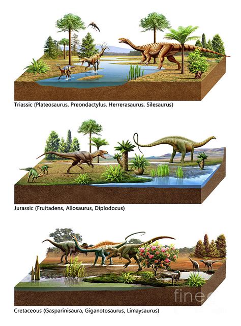 Mesozoic Era Infographic Painting by Mohamad Haghani