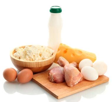 Metabolismo De Las Proteinas Alimentos Y Aminoacidos