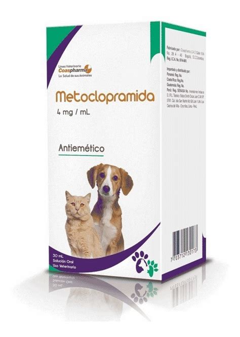 Metoclopramida Para Perros: [Guía De Uso Rápida 2020]