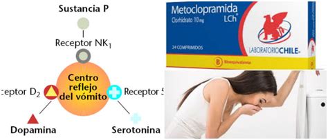 Metoclopramida: ¿Qué Es? Efectos Secundarios, Dosis, Interacción y ...