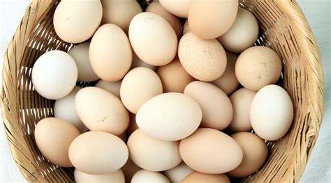 Método para diferenciar los cuatro tipos de huevos – Industria Alimentaria
