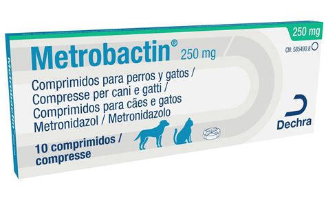 METRONIDAZOL para gatos   Dosis, usos y efectos secundarios