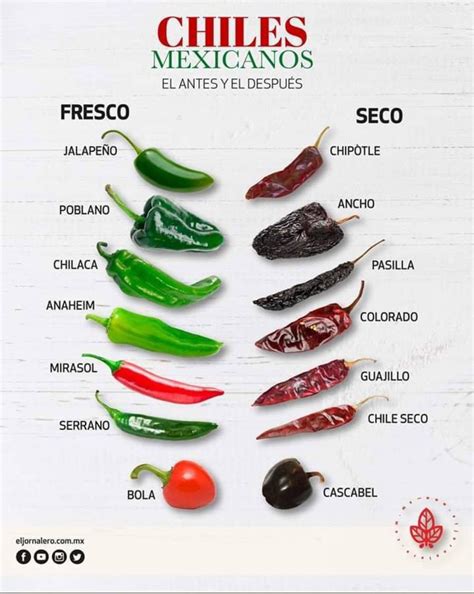 Mexican Chiles    Before & After  Fresh & Dry  | Recetas de comida ...