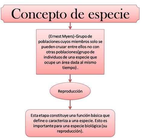 mi biologia: Concepto de especie