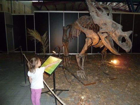 Mi familia bilingüe: Exposición de dinosaurios Dinopetrea