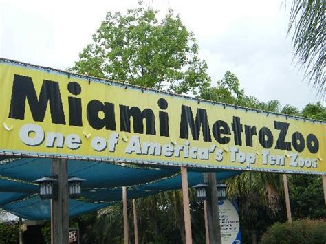 Miami Metrozoo   Picture of Zoo Miami, Miami   TripAdvisor