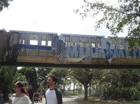 Miami Zoo train   YouTube