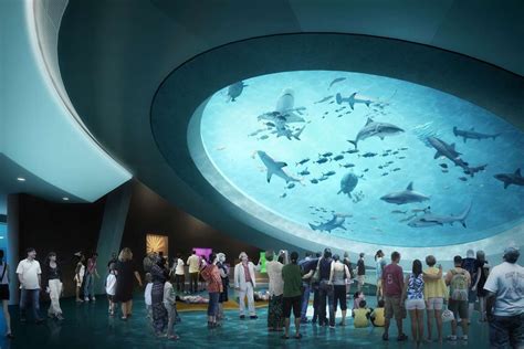 Miami’s Frost Museum of Science to open in May   Curbed Miami