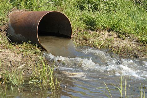 Michigan congresswoman urges action to reduce sewage ...