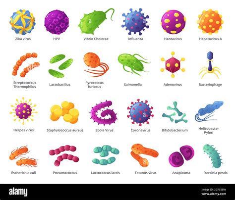 Microbio de dibujos animados. Microorganismos biológicos, células ...