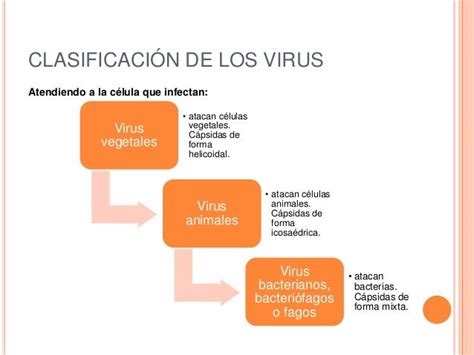 Microbiologia: Virus estructura, clasificacion. Enfermedades producid…
