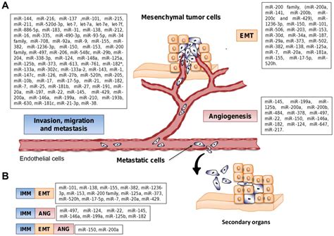 MicroRNAs driving invasion and metastasis in ovarian ...