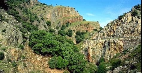 Microrreserva Estrecho del Hocino | Áreas Protegidas de Castilla La Mancha