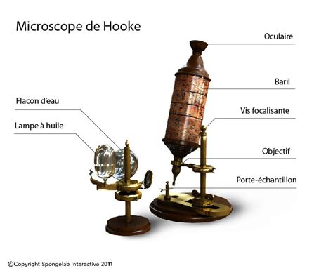 Microscope de Hooke   Étiqueté