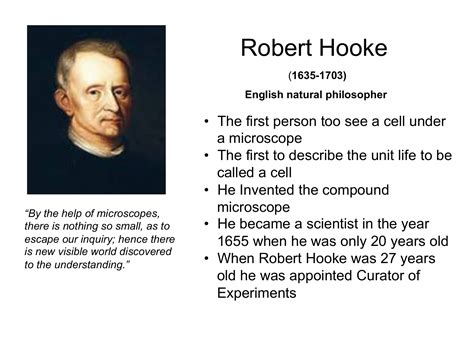 Microscope Robert Hooke Cell Theory   Micropedia