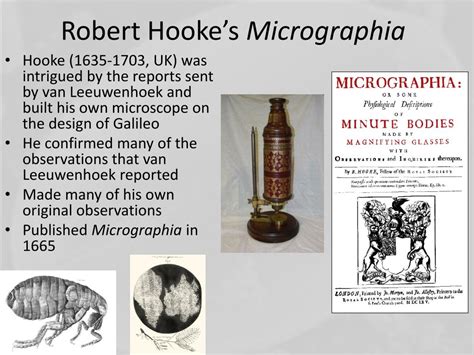 Microscope Robert Hooke Micrographia   Micropedia