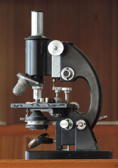 Microscope   Wikipedia