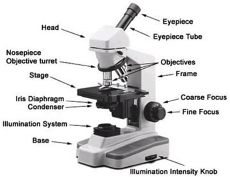 Microscopes Selection Guide | Engineering360