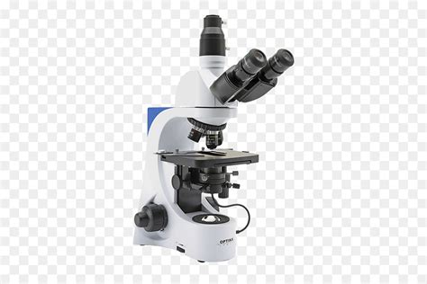 Microscopía De Campo Claro, Microscopio óptico ...