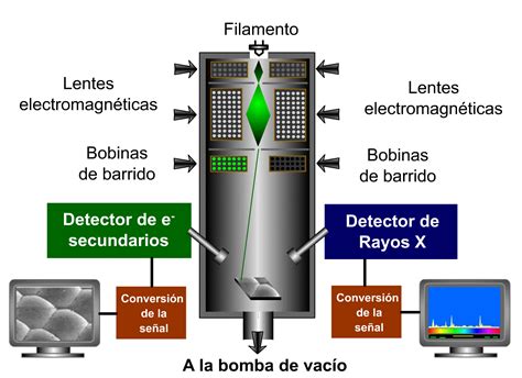 Microscopia Electrónica de Barrido con detector EDS  SEM ...
