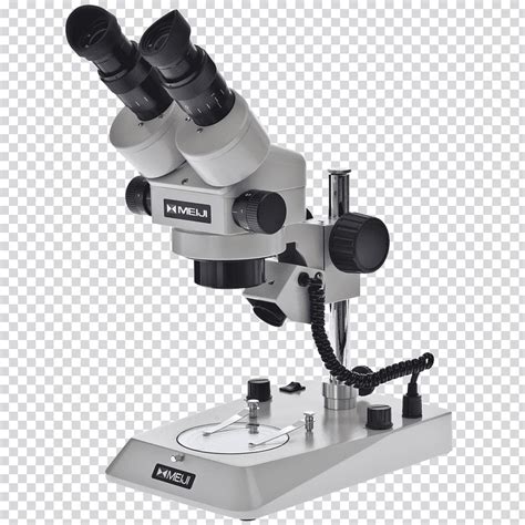 Microscopía estereoscópica especialidad sistemas ópticos ...