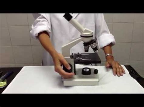 Microscopía | HISTOLOGIA II