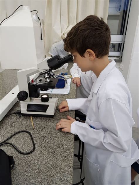 Microscopia • Colégio Reggio EmiliaColégio Reggio Emilia