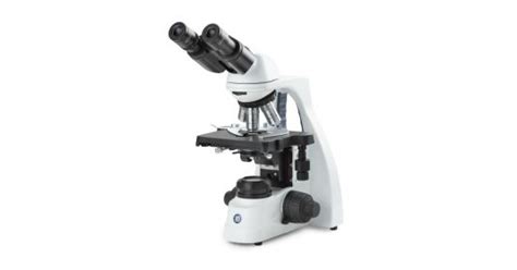 Microscopio Binocular Euromex bScope 1152EPL 40 1000x